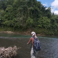 original sound - roymaledittor12