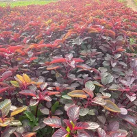 Jean Muhnja Yaar Sabhe