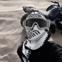 الصوت الأصلي