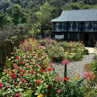 lanhahomestay.taxua