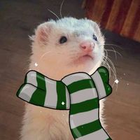lizbethmalfoy24
