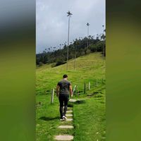 alexpaez131