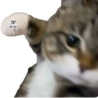 imnikki25