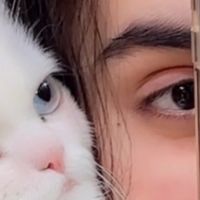 maham.shamsi