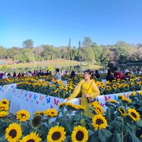 thetmonmyint565