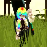 n.hau.016