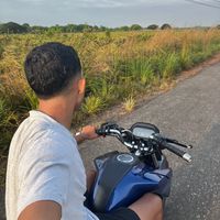 vinni_st17