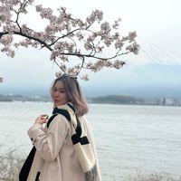 jittree.j