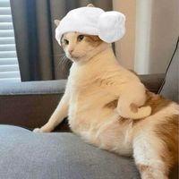 nhạc nền - Châu Sa 🫧🐳