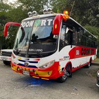 solo_buses1039