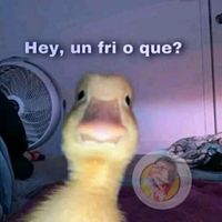 umpalumpa_m22