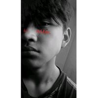 nestorfldark