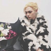 o h g a r o t a e u q r o v c e s o p r a m i m