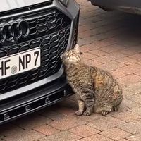valent1nno