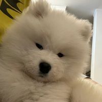 sadlygirlbabybadboy