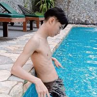 palmy_895