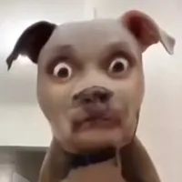 original sound - reid_74