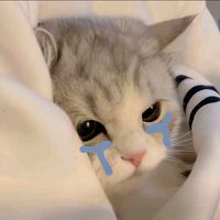 original sound - norxcii