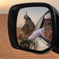 محمد بن راشد