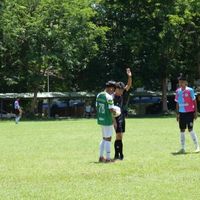 fino___2010