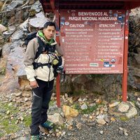 estrada_palomino