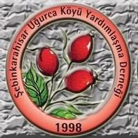 orijinal ses
