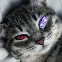 itsmeedkncl