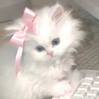 original sound - daisysince🫧