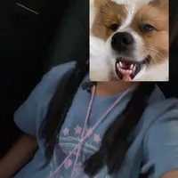 original sound - kmgreanorn.52