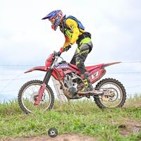 pedro_hammer17