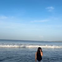 dnaee_nungaray