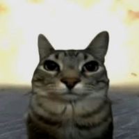 suara asli - erlangeight