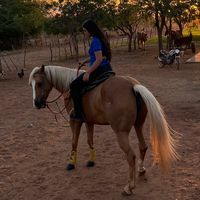evellyn_mmarques