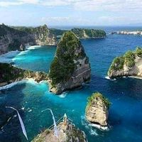 suara asli - Nusa penida 88