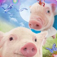 widnidoinkoink