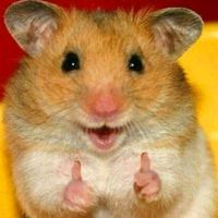 오리지널 사운드 - kpopdemonhuntersdance