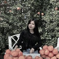 pimmyppk24