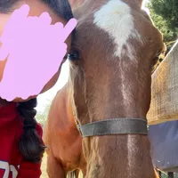 original sound - toca.boca_ideas5