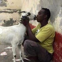 original sound