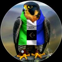 alhadjiidriss46