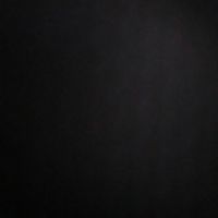 winglefingle21