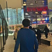 ghorg_