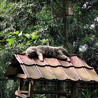 original sound - ꧁༺I'M Fa̸i̸q̸♨❤༻꧂