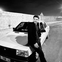 alistogay063