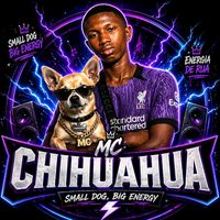 mcchihuahua1