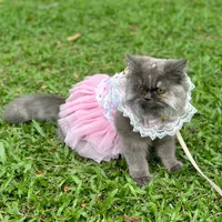 original sound - arisarashop0610