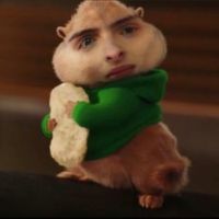 fafinnke