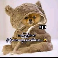 khin.lay3236