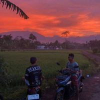 suara asli - onyel22