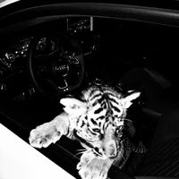 ___mav2929